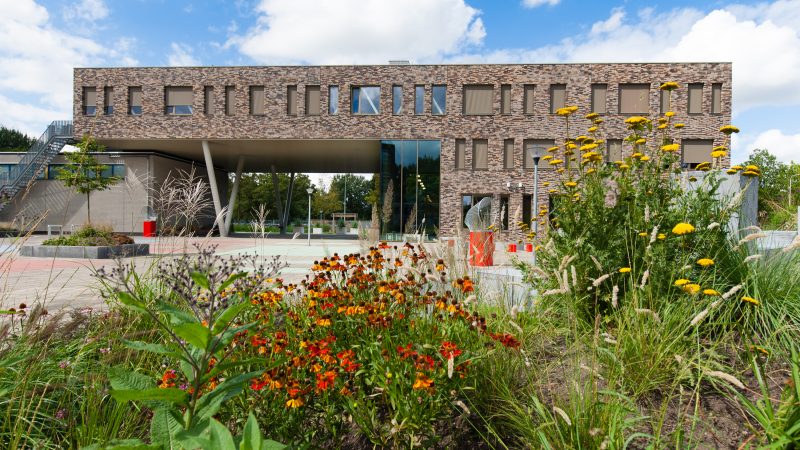 School in Ridderkerk maakt groen schoolplein