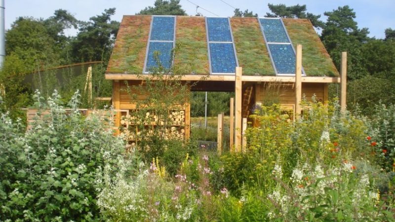 Topklimaat in eigen tuin