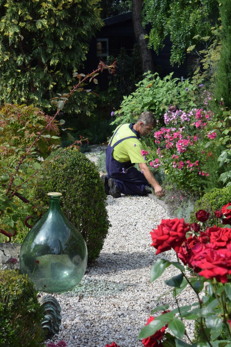 Tuinonderhoud. Periodiek, maar ook voor het eenmalig opknappen van de tuin.