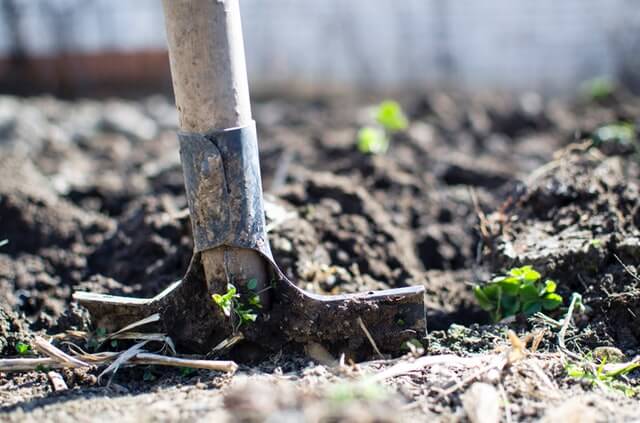 Tuin laten renoveren