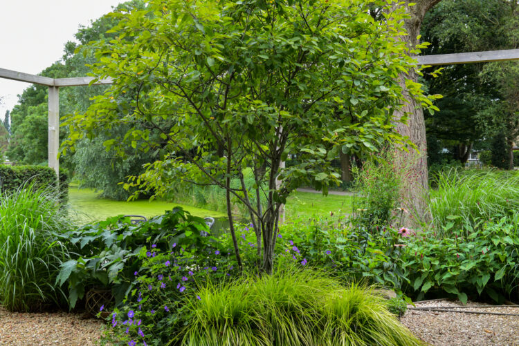 groene border en open grond