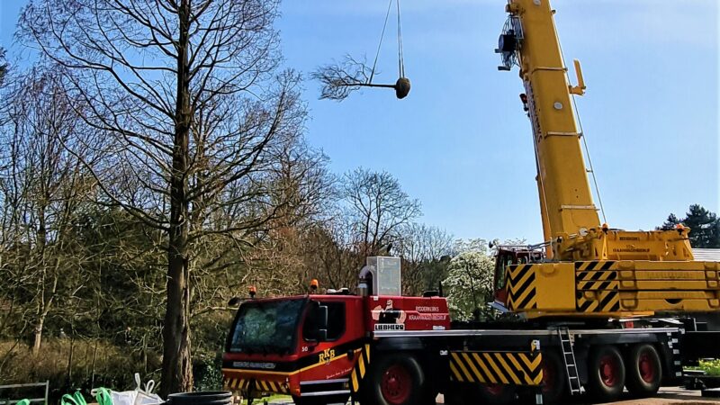 Bomen planten met telescoopkraan