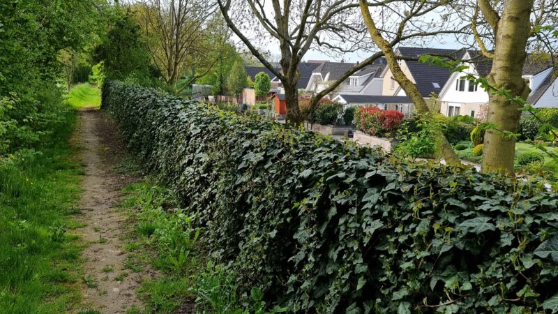 Realisatie Greenwall geluidsscherm in Ridderkerk