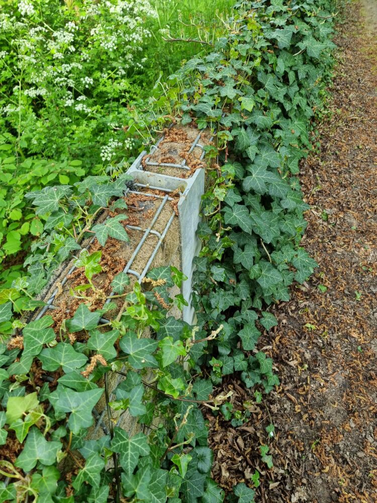 Greenwall Ridderkerk detail