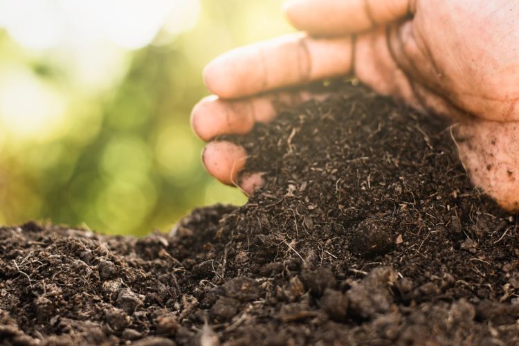 een duurzame tuin - gezonde bodem